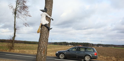 Co ta czarownica robi na drzewie?