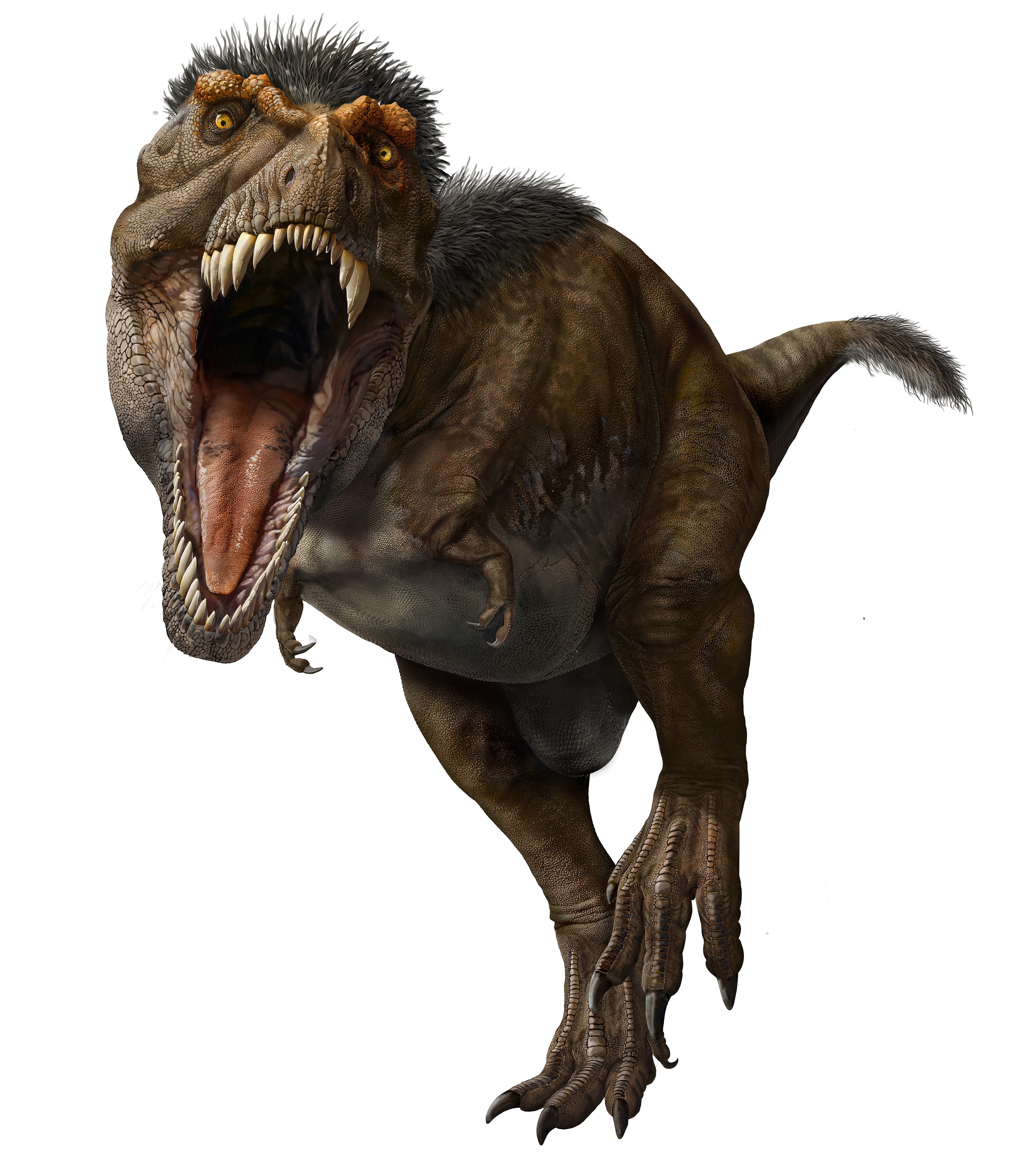 The real T. rex looked nothing like the monster in 'Jurassic Park.' These 13 discoveries have