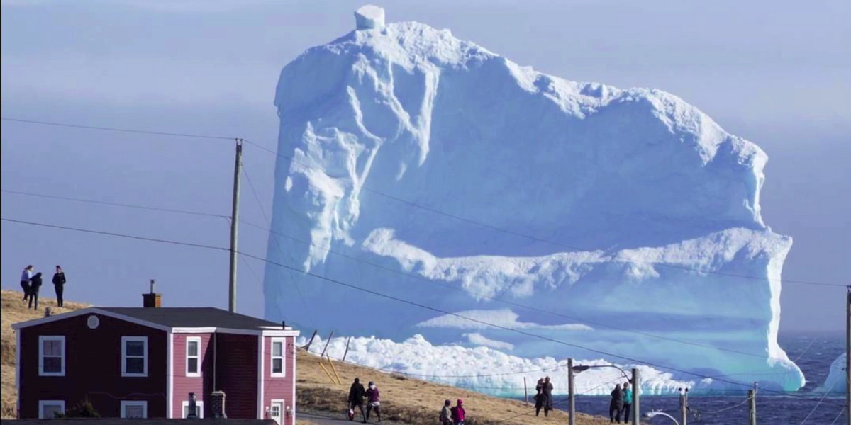 Góra lodowa przyciągnęła turystów