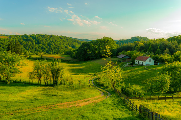 Zlatibor prodaje imanje sa šumom za 4.500 evra, može i na rate! Evo koje su njegove TRI OPCIJE za kupovinu ove nekretnine