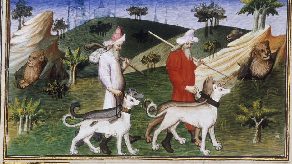 Jak żyły psy w średniowieczu?