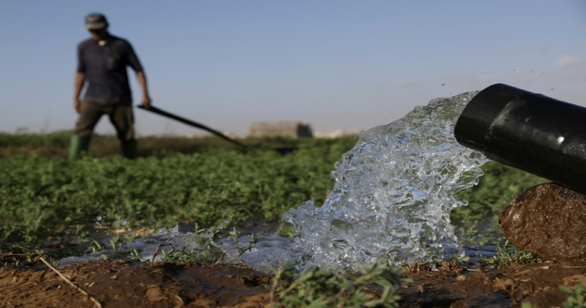 Maroc : l'eau dessalée sauve l'agriculture face à la sécheresse