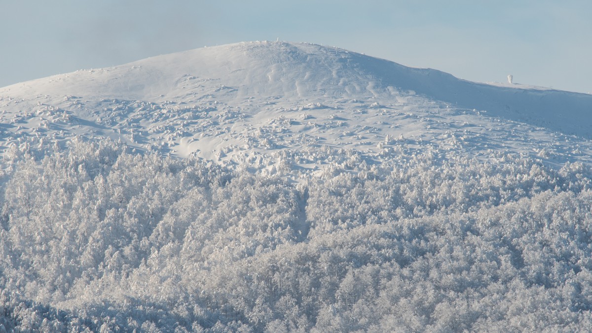 Bieszczady: silny wiatr na połoninach