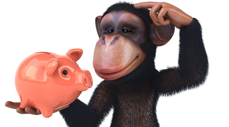 Ha lehet, a majmok is inkább az olcsóbb árut választják / Fotó: Shutterstock