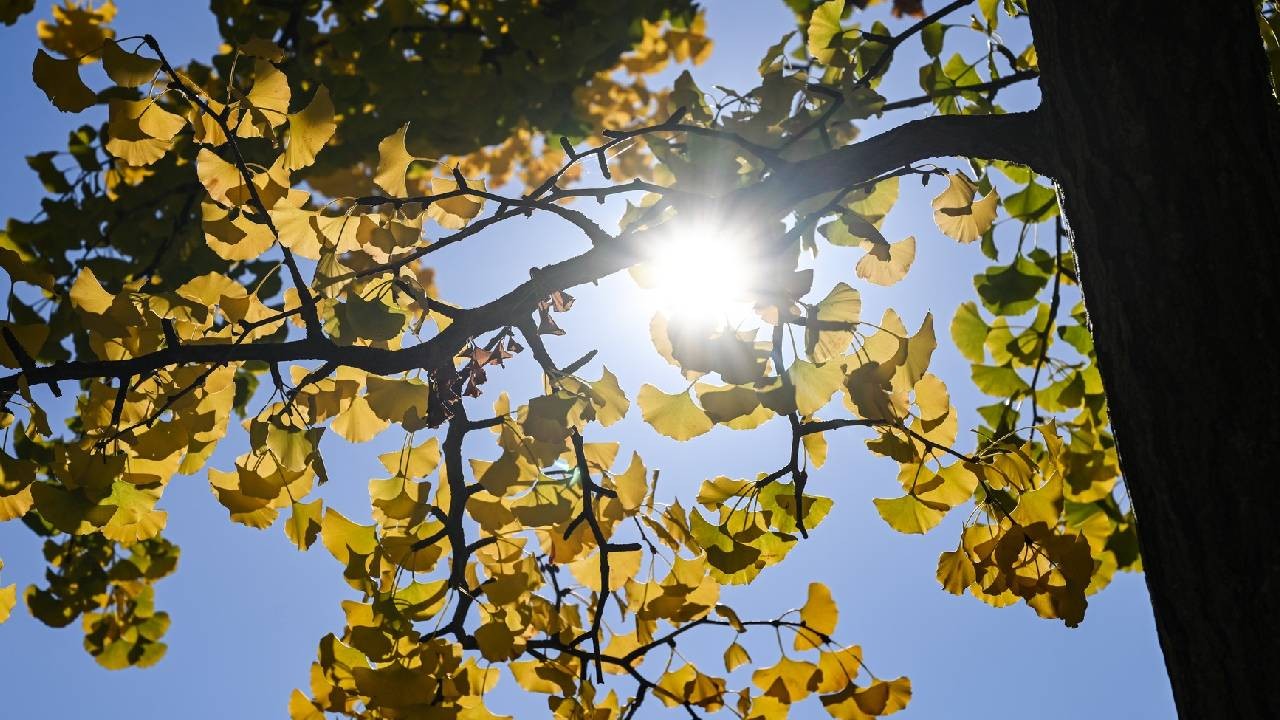 Temperaturi de până la 26 de grade, dar și ploi în unele zone. Unde ajunge vântul la rafale de peste 80 km/h 
