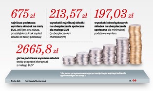Mało czasu na mały ZUS. "Wprowadzenie tak drastycznego terminu to albo głupota, albo celowa prowokacja"