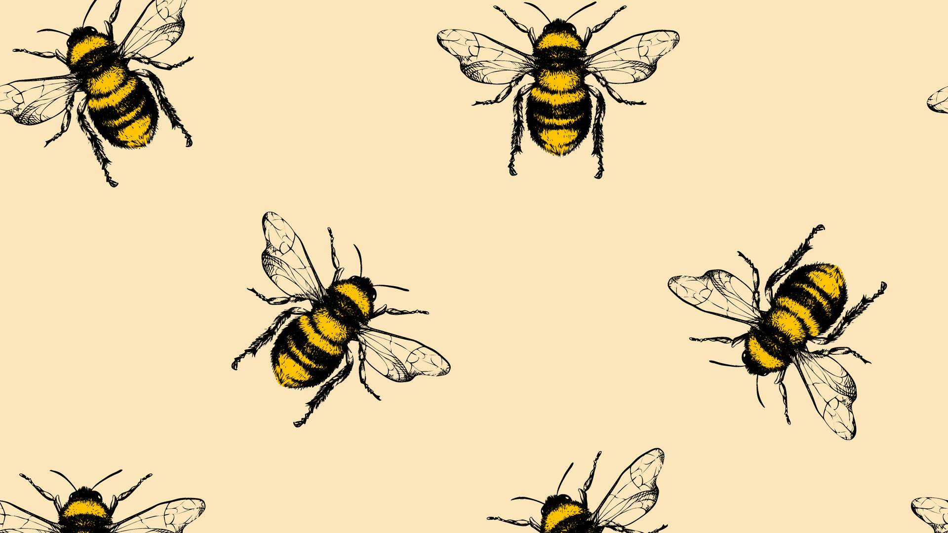 Jak dużo wiesz o pszczołach? Sprawdź się w quizie