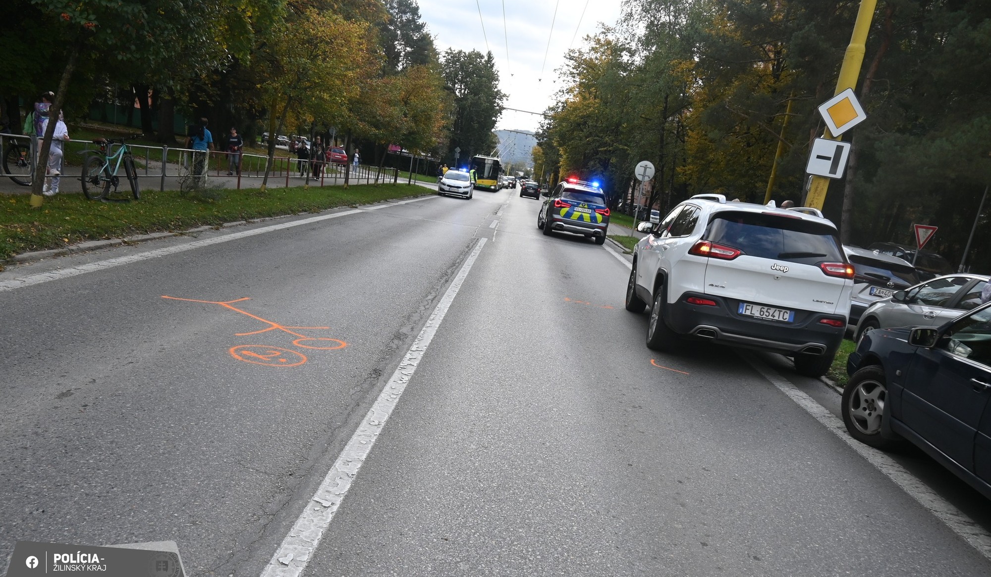 Vodič zrazil chodca na priechode, obvinili ho z ublíženia na zdraví.