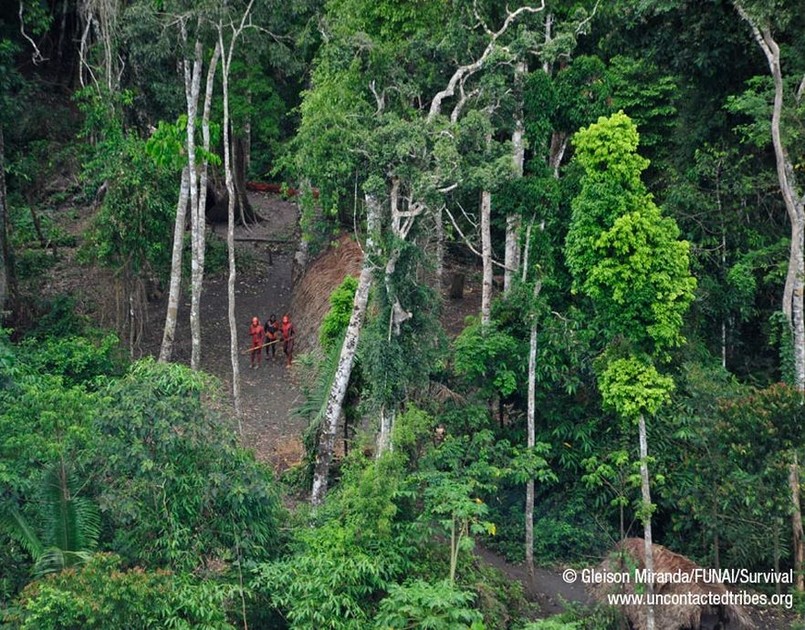 Sensacyjne zdjęcia! Oto plemię, które nie zna nic oprócz puszczy
