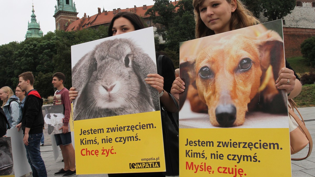 Kilkadziesiąt osób stanęło w sobotę w Krakowie na placu Wielkiej Armii Napoleona u podnóża Wawelu trzymając w rękach portrety zwierząt. Akcja "Jestem Zwierzęciem. Myślę, czuję. Chcę żyć", ma przypomnieć, że zwierzęta nie są rzeczami, a ich los zależy od nas.