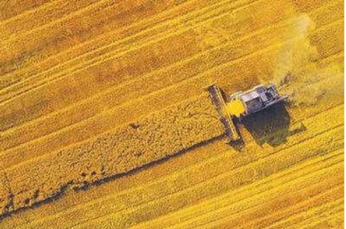 Grupa Azoty 'znacząco' obniża ceny nawozów azotowych i wieloskładnikowych