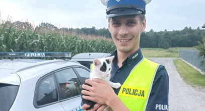 Policjant uratował zagubionego kotka. Maluch całkiem skradł mu serce...