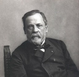 Wyścig w medycynie. "Cudowny lek"