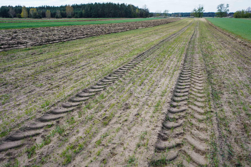 Kłobuck. Susza na Śląsku