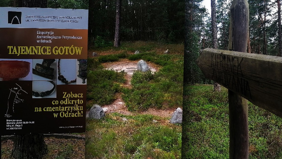 Kręgi Kamienne w Odrach to polskie Stonehenge. Bilety tanie jak barszcz