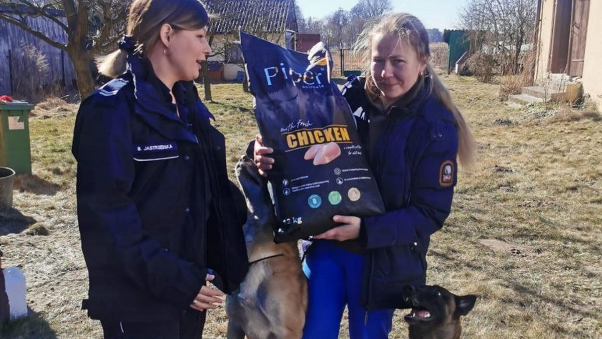 Policjantka z Charkowa uratowała rodzinę, koty i służbowe psy