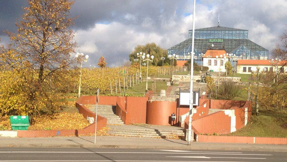 Zielonogórski magistrat planuje stworzenie strumienia, który z Winnego Wzgórza kaskadowo popłynie w kierunku ul. Wrocławskiej. Woda miałaby też trafić do Parku Tysiąclecia. Takie pomysły, które mają być zrealizowany w ramach rewitalizacji terenów miasta, zdradził wiceprezydent Krzysztof Kaliszuk.