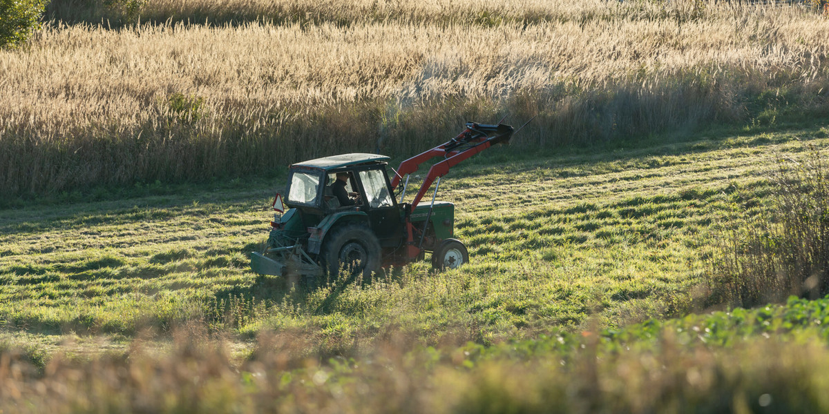 Ceny ziemi rolnej w 2022 r. wzrosły o prawie 20 proc.