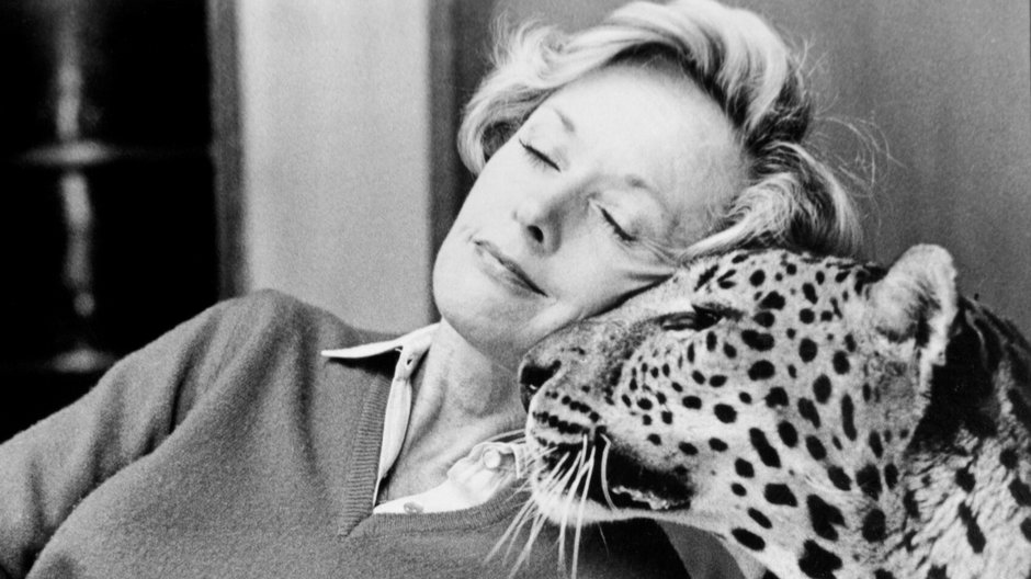 Tippi Hedren na planie "Roar"