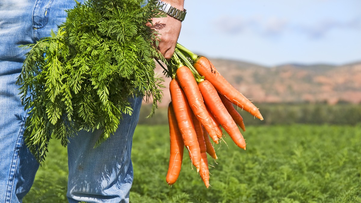 Ogólnopolskie Stowarzyszenie Przetwórców i Producentów Produktów Ekologicznych Polska Ekologia ogłosiło przetarg na trzyletnią kampanię na rynkach zagranicznych.