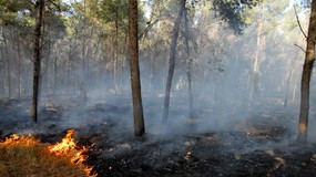 Od nowego roku kara do 30 tys. zł m.in. za palenie tytoniu w miejscach niewyznaczonych [tworzenie zagrożenia pożarowego]