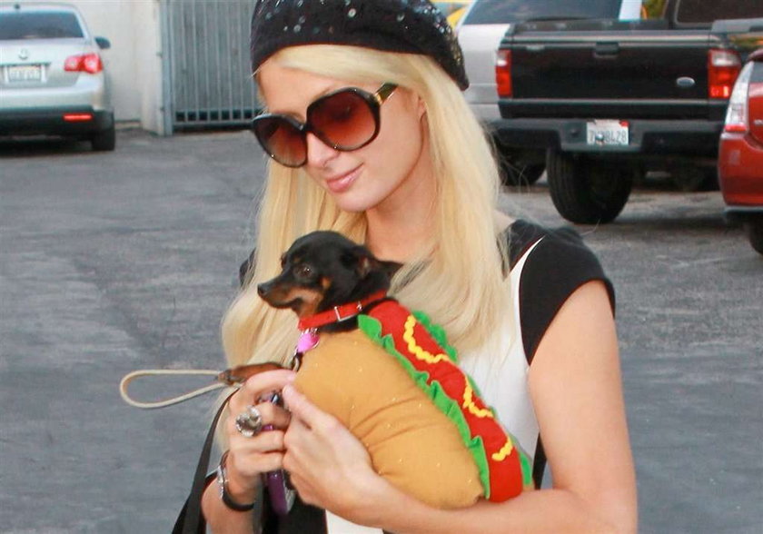 Która gwiazda przebrała psa za hot doga?
