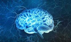 Choroba Alzheimera - powolna degeneracja umysłu