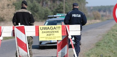 Dronem chcą uderzyć w dziki. Na razie jednak tylko płacą krocie za same słowa