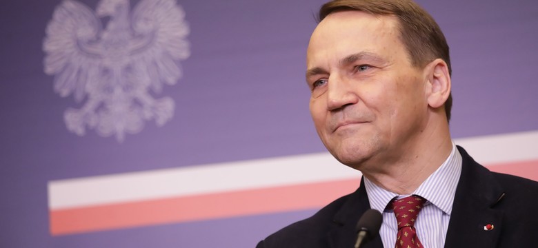 Radosław Sikorski w niemieckich mediach: demonizowanie demokratycznych Niemiec się skończyło