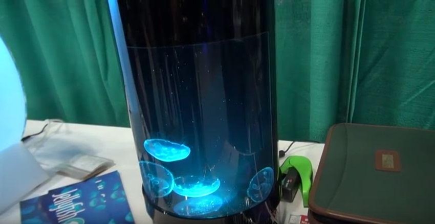 Ko ne bi voleo ovakav akvarijum