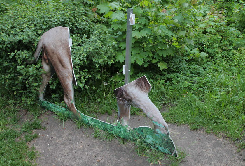 Zniszczenia w Łódzkim Zoo