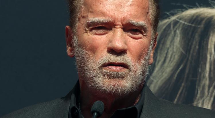 Meghalt Arnold Schwarzenegger bálványa és első edzője, az osztrák testépítő, Kurt Marnul. Fotó: Northfoto