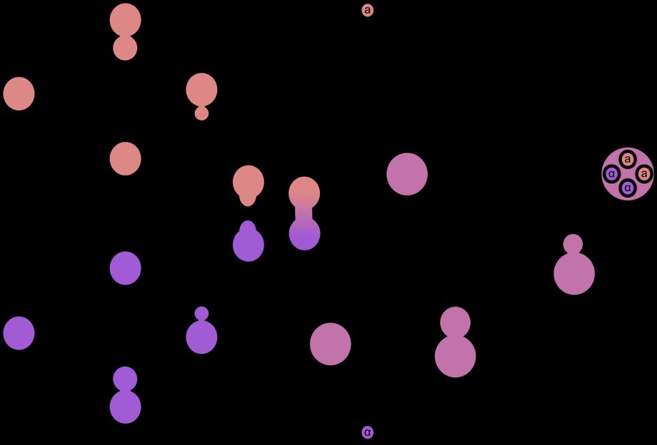 The life cycle of a yeast cell: (1) budding, (2) conjugation, (3) spore.