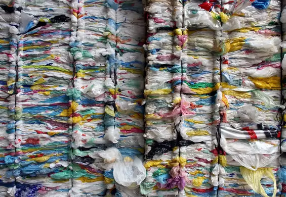 Nowa Zelandia wprowadzi nowe prawo. Całkowity zakaz używania plastikowych toreb