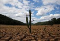 BRAZIL - DISASTER ENVIRONMENT SOCIETY TPX IMAGES OF THE DAY