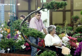 Rośnie popyt na pracę architektów krajobrazu