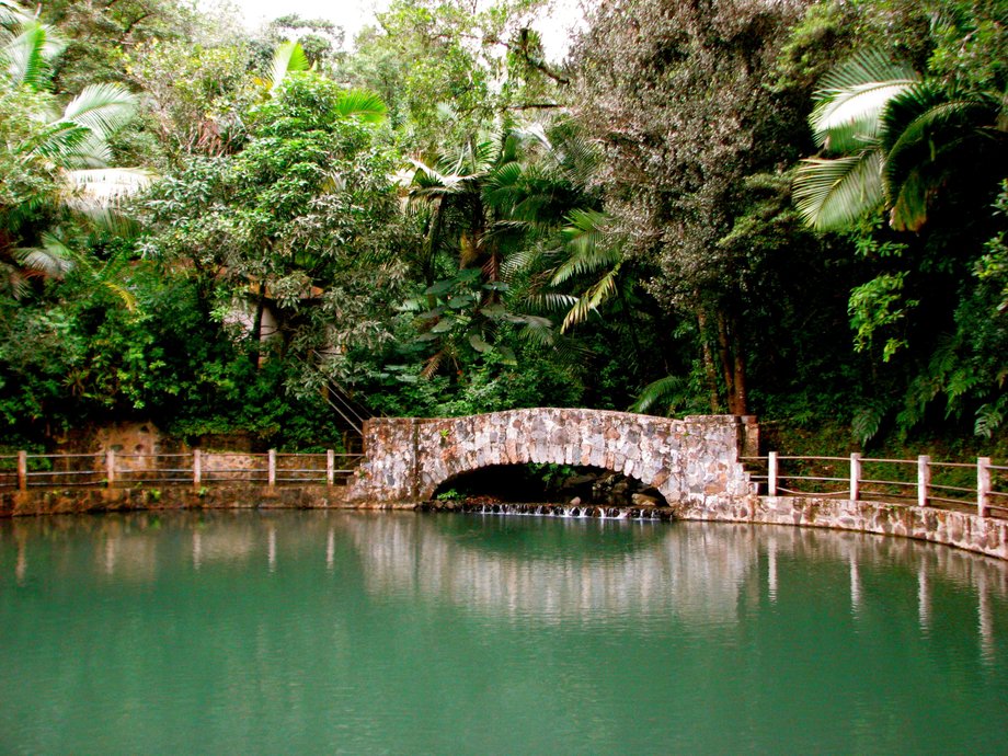 Park Narodowy El Yunque