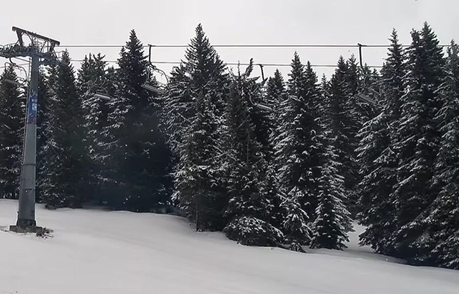 Kopaonik