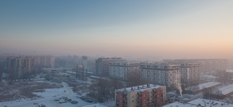 Cichy truciciel. Wpływ smogu na zdrowie dziecka