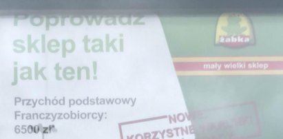 Żabka kusi nowymi warunkami. Ponad 6 tysięcy złotych miesięcznie!