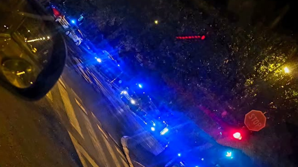 Požar u Gandijevoj ulici sinoć na Novom Beogradu