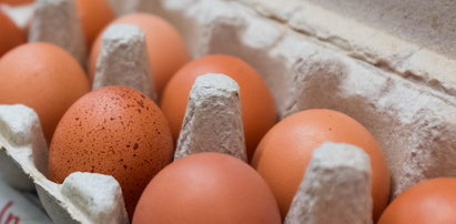 GIS ostrzega: Salmonella na jajkach!