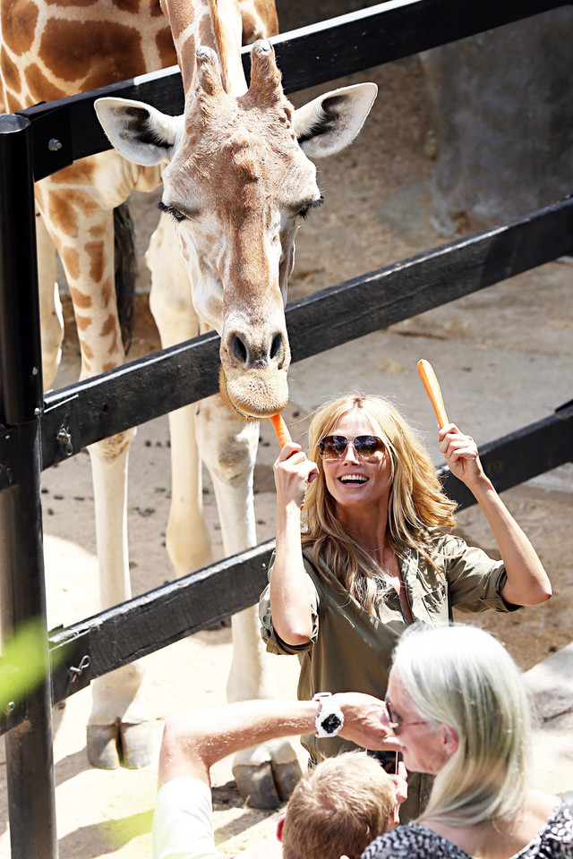 Heidi Klum karmi żyrafę