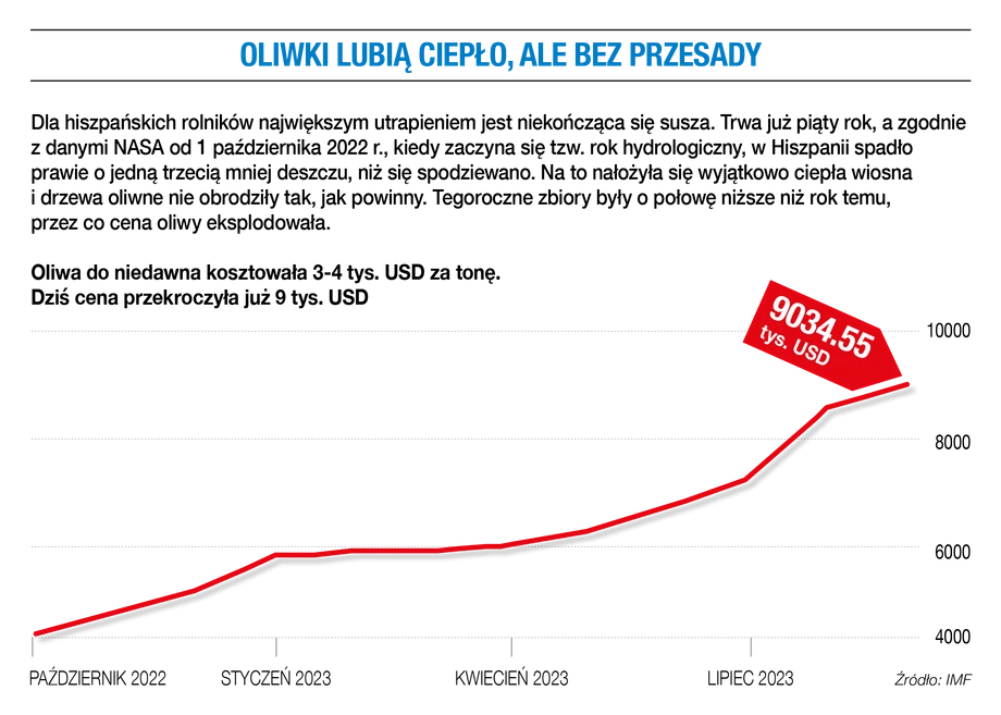 Oliwki lubią ciepło, ale bez przesady