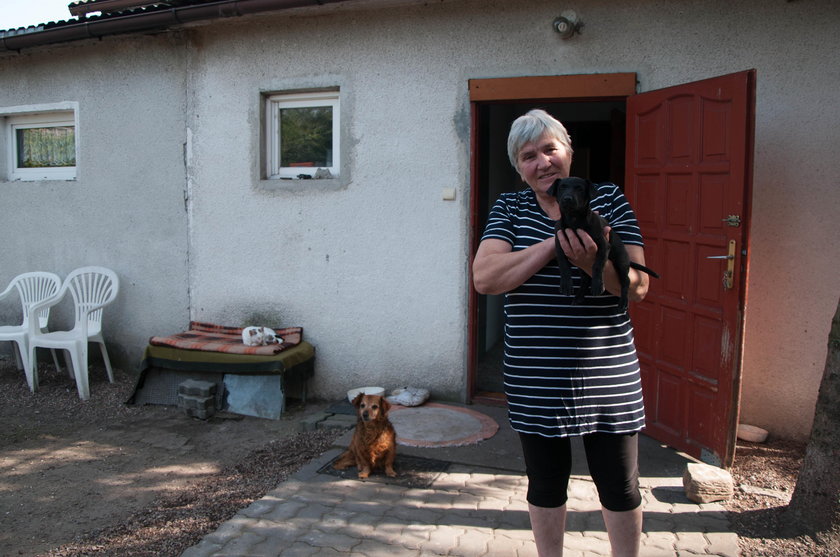 Strzelał w Tofika na oczach mojej wnusi!