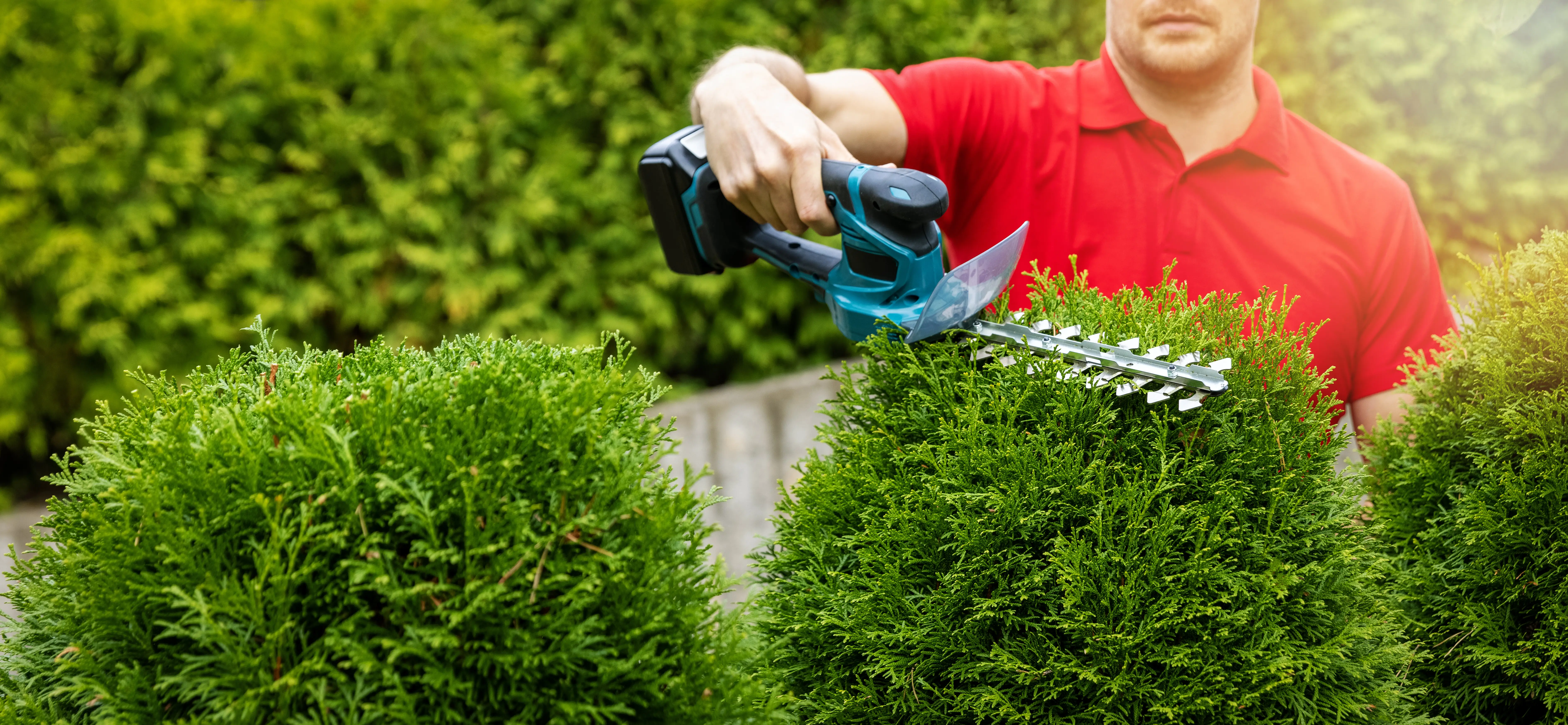 Akku Gras Und Strauchschere Kompatibel Mit Makita 1 Produktbild-Vorschau 2
