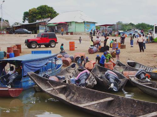 Galeria Wenezuela, Brazylia - dżungla i Roraima, obrazek 33