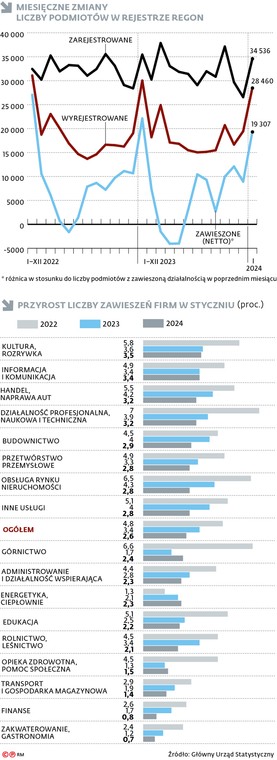 Miesięczne zmiany liczby podmiotów w rejestrze REGON