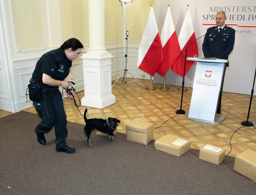 Wiceminister sprawiedliwości nagrodził psy Służby Więziennej