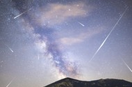 Pine trees silhouette Milky Way